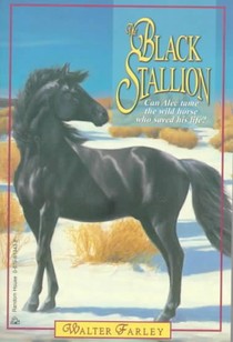 The Black Stallion