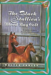 The Black Stallion's Blood Bay Colt