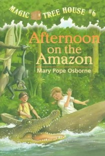 AFTERNOON ON THE AMAZON