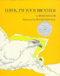 HAWK IM YOUR BROTHER