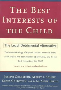 The Best Interests of the Child voorzijde