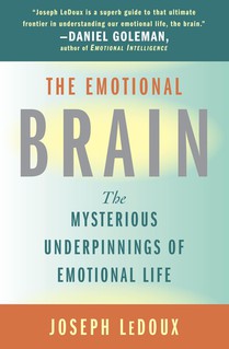 The Emotional Brain voorzijde