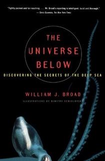 The Universe Below