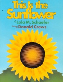 This is the Sunflower