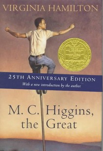 MC HIGGINS THE GRT 25 ANNIV/E