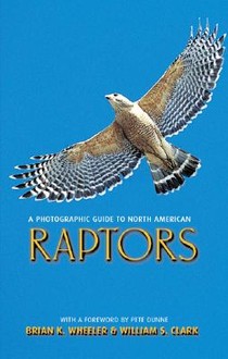 A Photographic Guide to North American Raptors