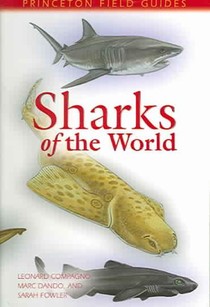 Compagno, L: Sharks of the World