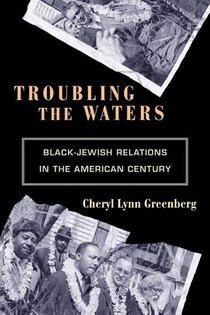 Troubling the Waters