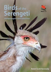 Birds of the Serengeti