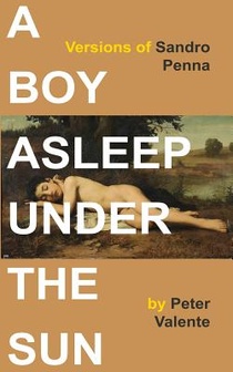 A Boy Asleep Under the Sun