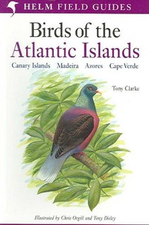 Field Guide to the Birds of the Atlantic Islands voorzijde