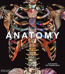 Anatomy