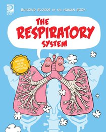 The Respiratory System