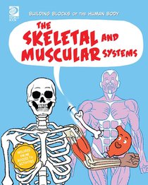 The Skeletal and Muscular Systems