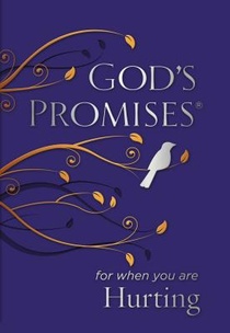 God's Promises for When You are Hurting