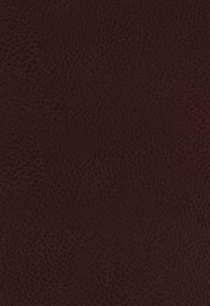 KJV, The King James Study Bible, Bonded Leather, Burgundy, Red Letter, Full-Color Edition