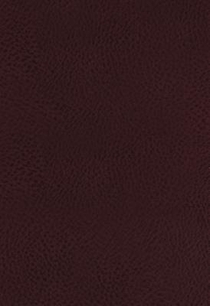 KJV, The King James Study Bible, Bonded Leather, Burgundy, Thumb Indexed, Red Letter, Full-Color Edition