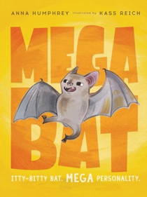 Megabat voorzijde