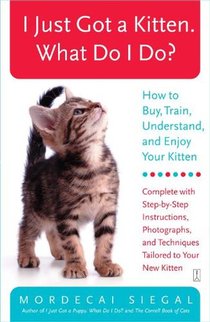 I Just Got a Kitten. What Do I Do?