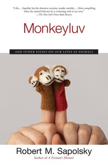 Monkeyluv voorzijde