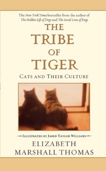 The Tribe of Tiger voorzijde