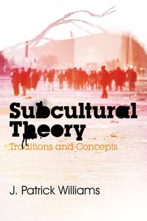 Subcultural Theory