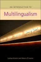 An Advanced Guide to Multilingualism