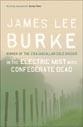 In the Electric Mist With Confederate Dead