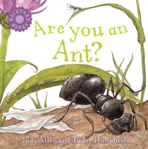 Are You An Ant?