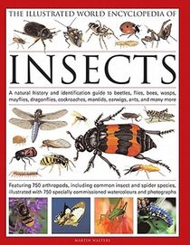 The Illustrated World Encyclopaedia of Insects