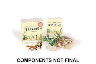 Desktop Terrarium: No Green Thumb Required!