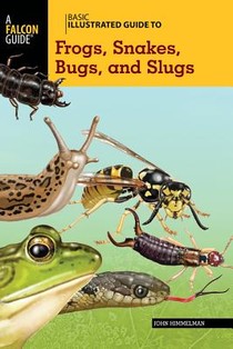 Basic Illustrated Guide to Frogs, Snakes, Bugs, and Slugs