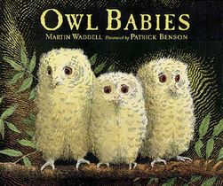 Owl Babies voorzijde