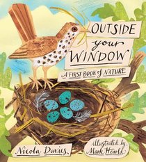 Davies, N: Outside Your Window