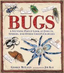 Bugs: A Stunning Pop-Up Look at Insects, Spiders, and Other Creepy-Crawlies voorzijde