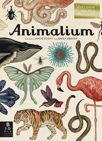 Animalium: Welcome to the Museum voorzijde