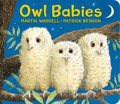 Owl Babies voorzijde