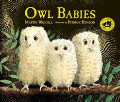 Owl Babies voorzijde