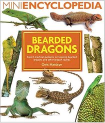 Bearded Dragons