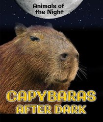 Capybaras After Dark