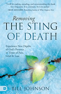 Removing the Sting of Death: Experiencing New Depths of God's Presence in Times of Pain, Grief, and Loss