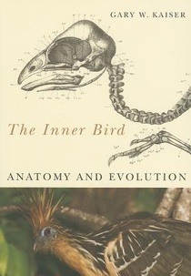 The Inner Bird