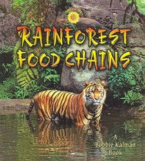 Rainforest Food Chains