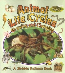 Animal Life Cycles