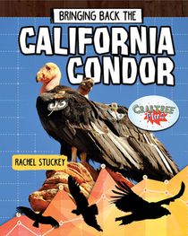 BRINGING BACK THE CALIFORNIA C
