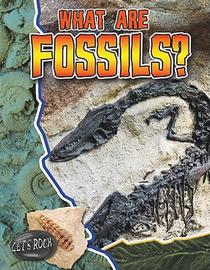 What Are Fossils? - Lets Rock
