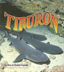 El Ciclo de Vida del Tiburón (the Life Cycle of a Shark)