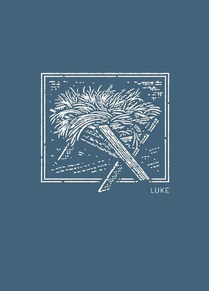 NET Abide Bible Journal - Luke, Paperback, Comfort Print