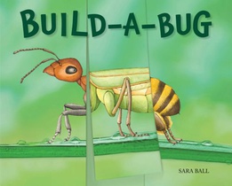 Build-a-Bug voorzijde