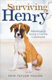 Surviving Henry – Adventures in Loving a Canine Catastrophe